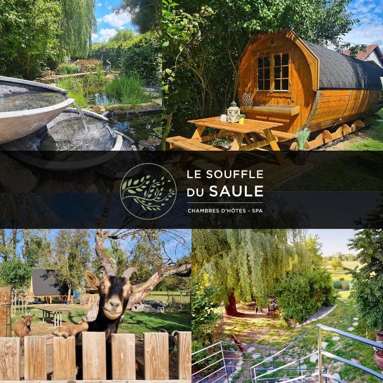 La Cabane Indiana - Le Souffle du Saule - SPA - Vista 2
