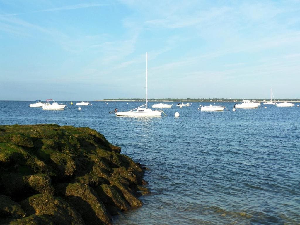 Camping Arès - Vista principale