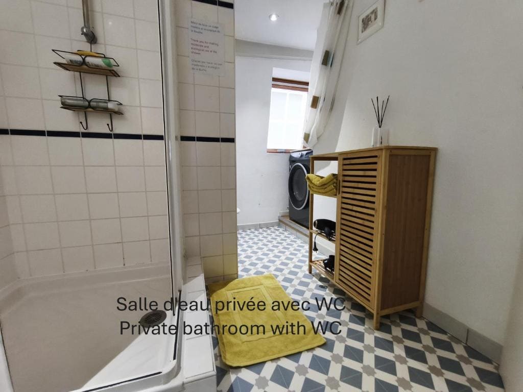 Chambre chez l'habitant - Centre - Salle d'eau et WC privés - View 4