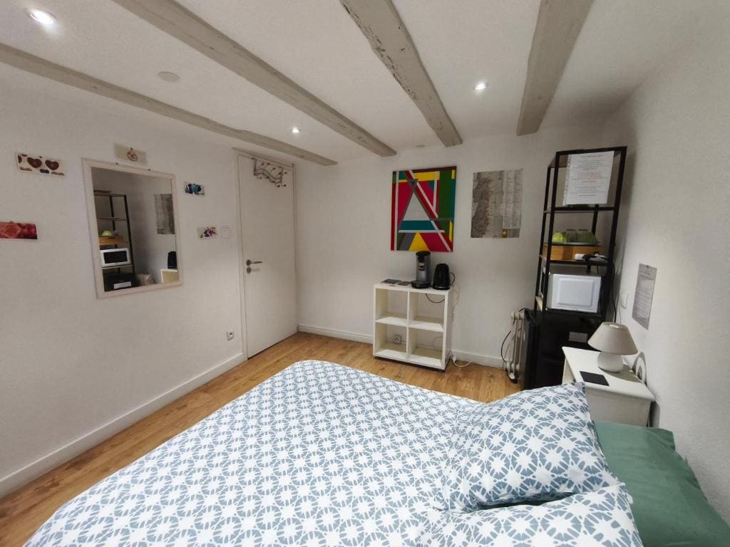 Chambre chez l'habitant - Centre - Salle d'eau et WC privés - View 3
