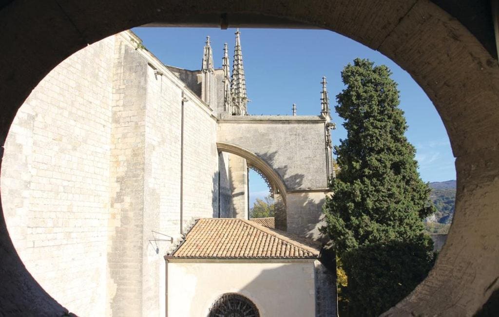 LES JARDINS DE LA CATHÉDRALE chambres d Hôtes gîte de groupe - View 5
