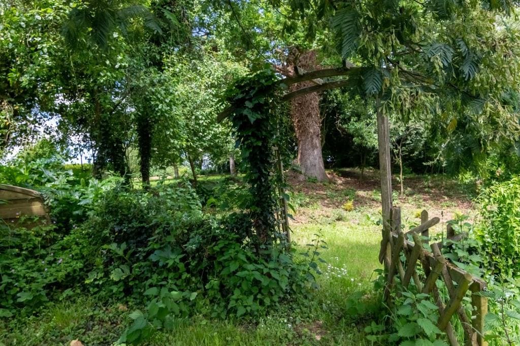 Chambre d'hôte La Haye d'Armor, "La Roche Au Cerfs" - View 6