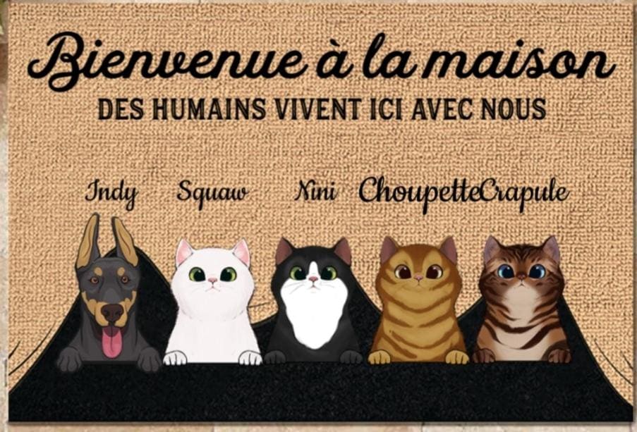 Chez Sophie et Thibault - View 2
