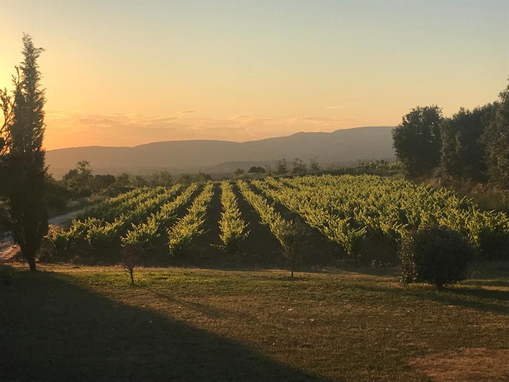 Chambre dans bastide au milieu des vignes - عرض 5