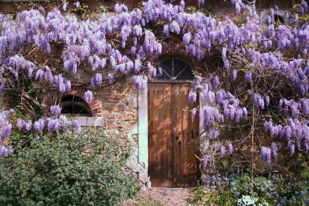 Chambres d'hôtes Le Clos d'Hauteville - View 5