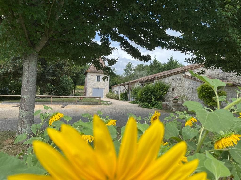 Chambres d hôtes La Bourneloise — Ansicht 4