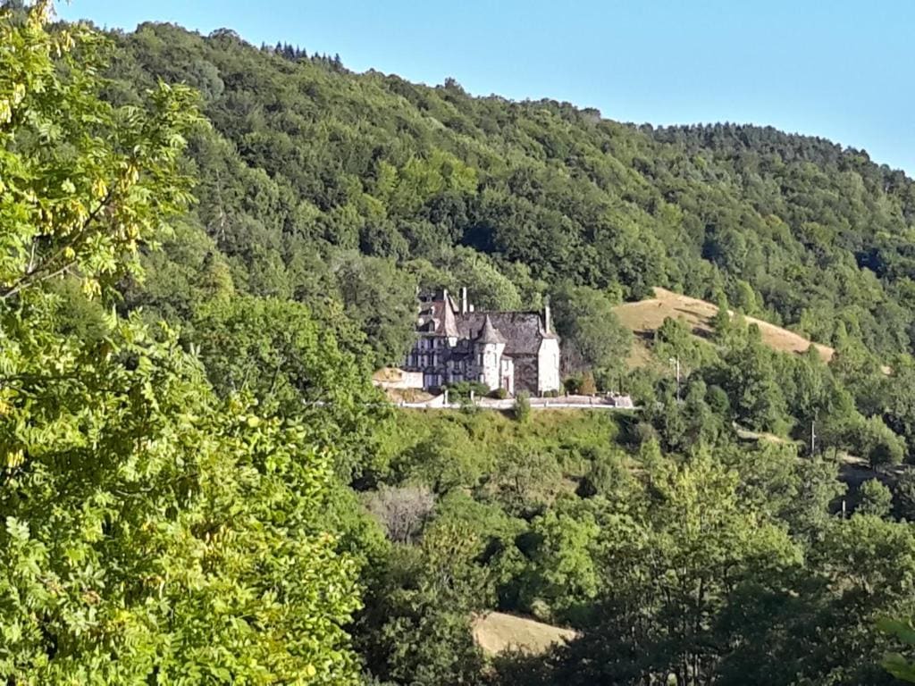 Chateau De Courbelimagne, Raulhac - View 4
