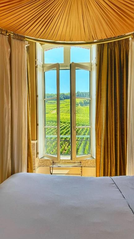 Chateau de Sacy - View 6