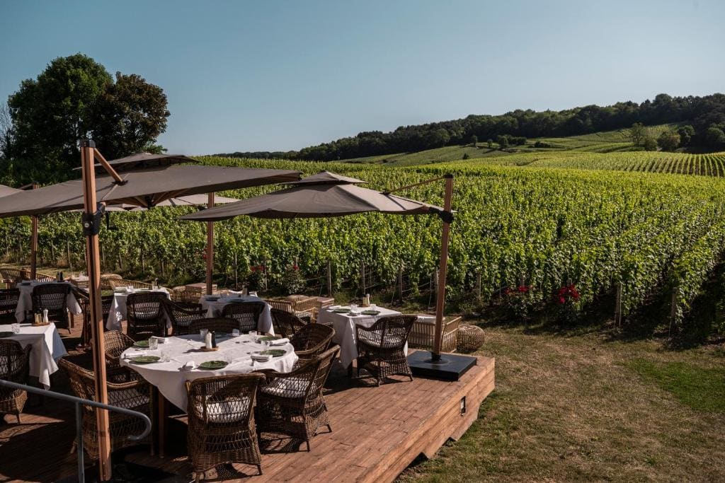 Chateau de Sacy - View 4