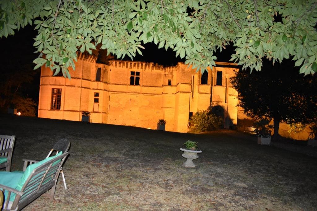 Château de Veuil - View 3