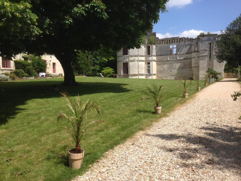 Château de Veuil - View 6