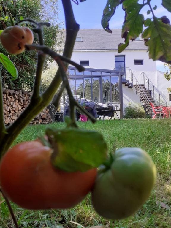 Chez Hortense 56 - View 2