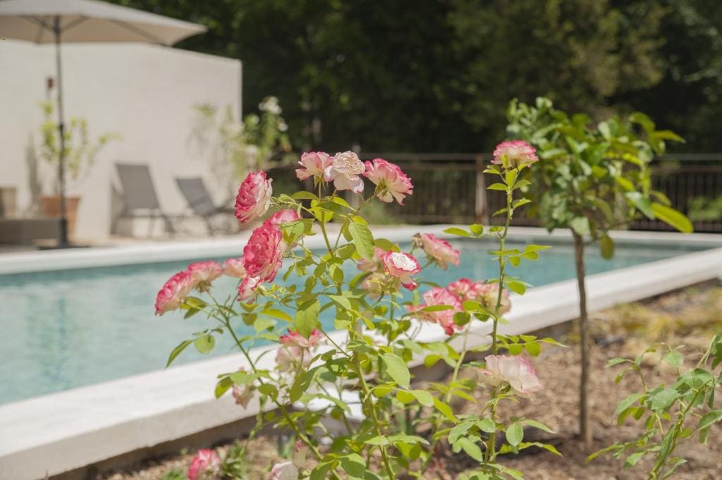 Domaine Cap Rubis - Vista 4