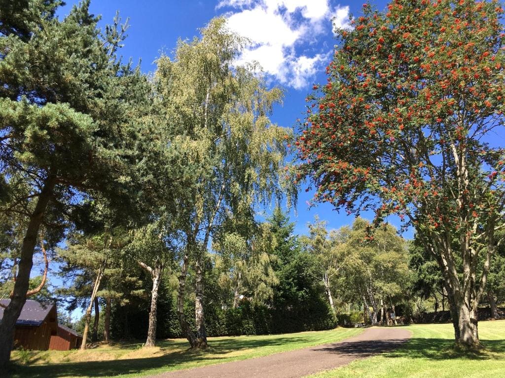 Domaine les 2 Mondes - View 6