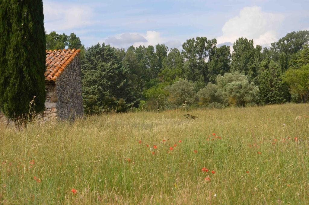 Domaine Shambala - gîte en Provence avec une Grande Piscine - View 4