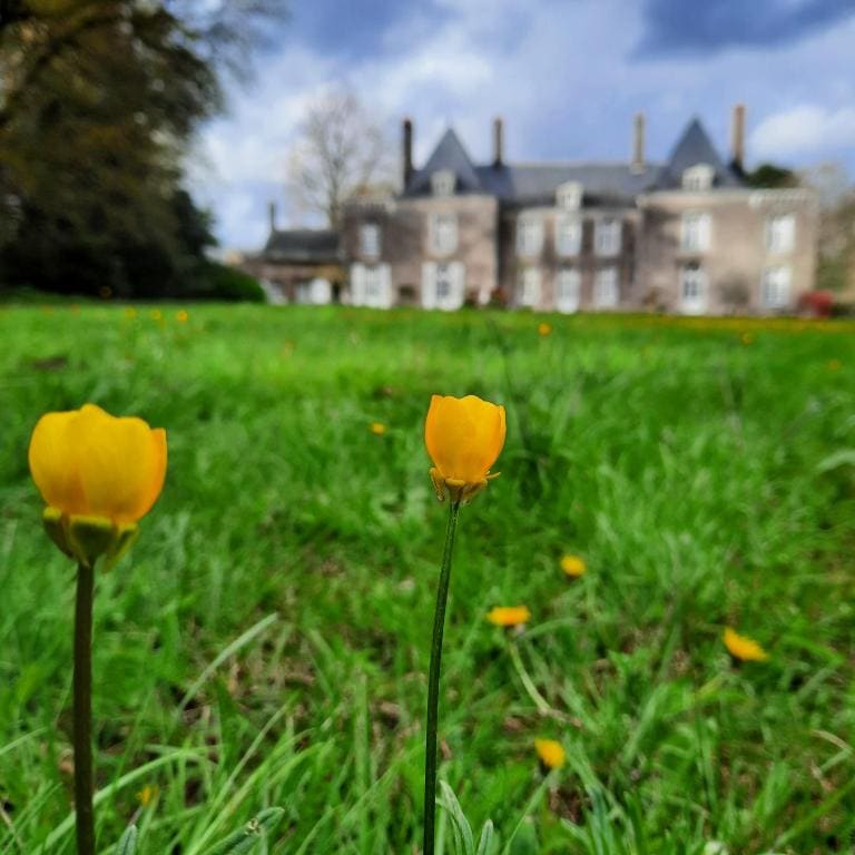L'Essongère - Main view