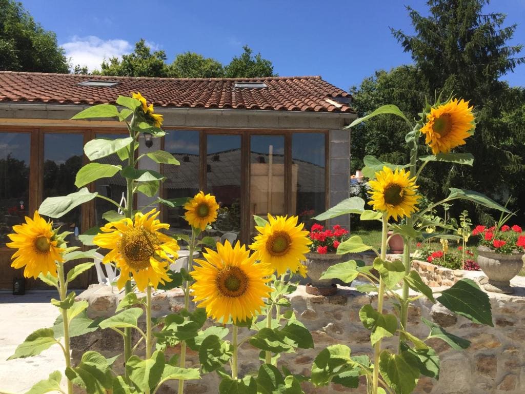 Gîte climatisé de La Haute Rue - View 4