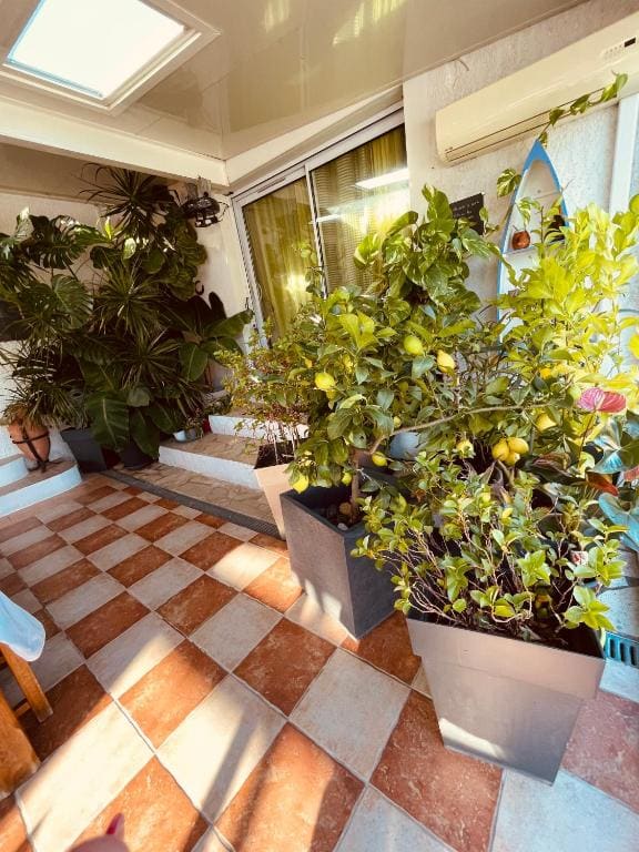 L'étape Provencale - View 5