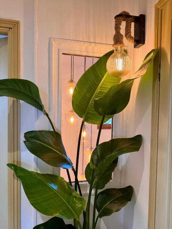 La Bastide des Romarins - View 7