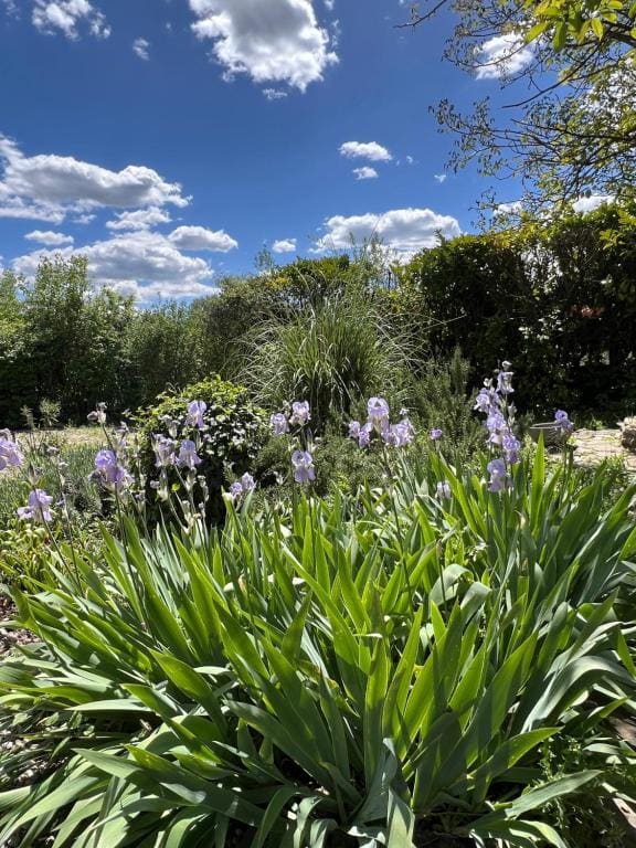 La Belle Rivière - View 4