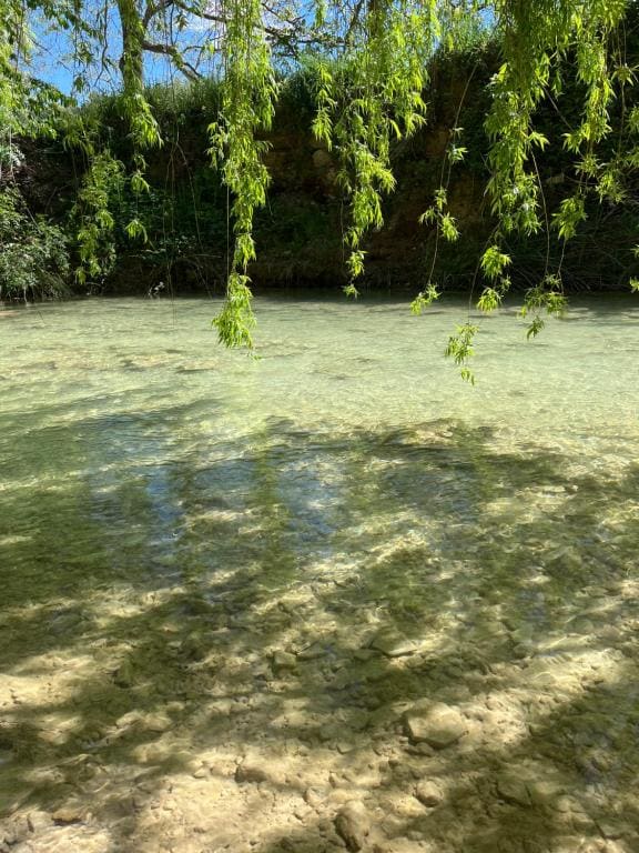 La Belle Rivière - View 5