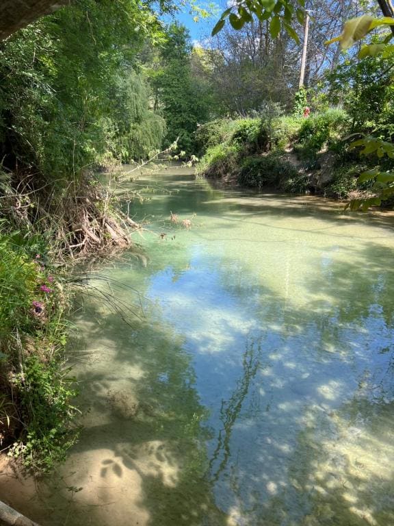 La Belle Rivière - View 2