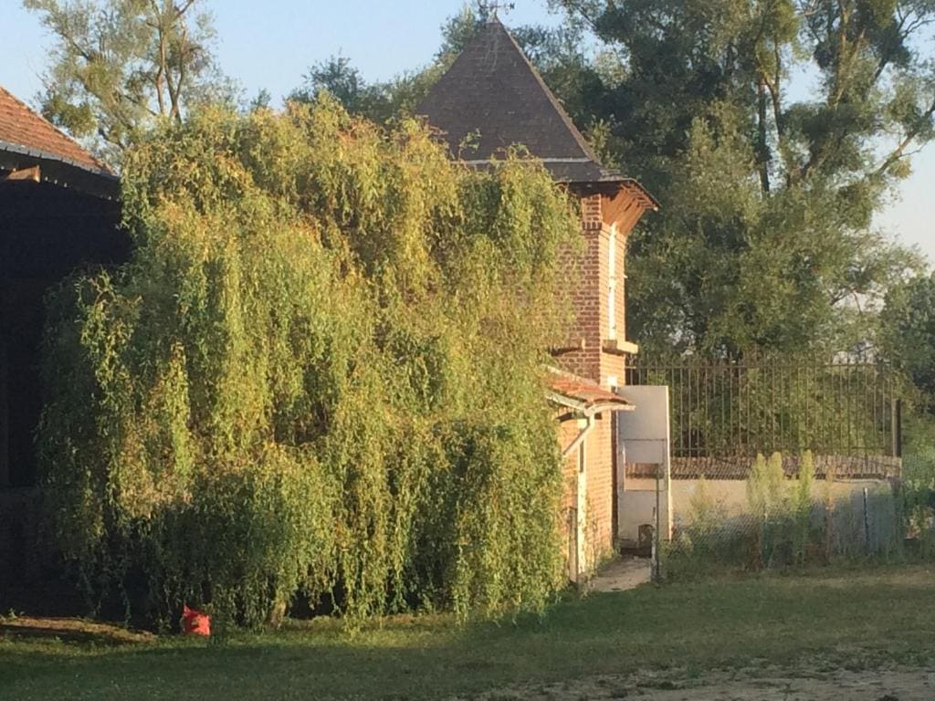 Double room on farm - View 4