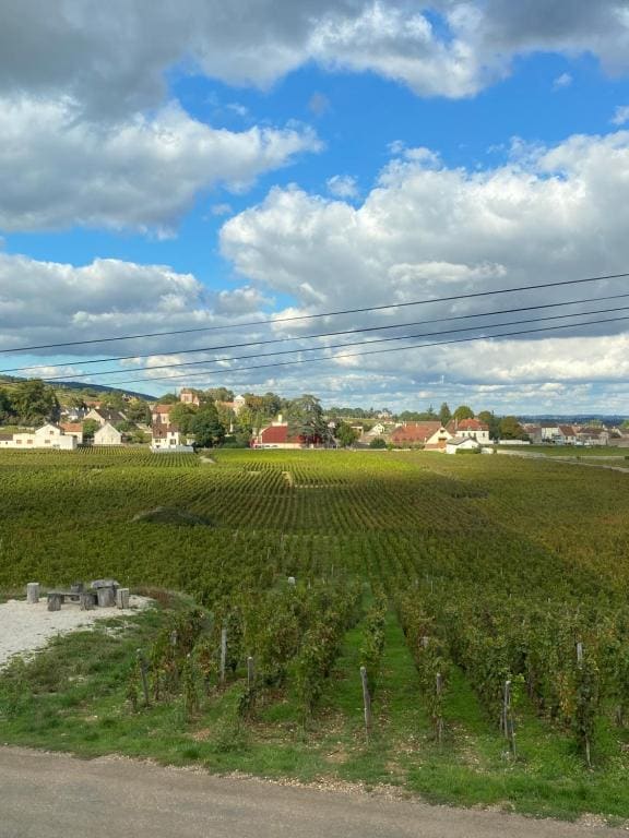 La Gibriaçoise petite chambre chez l habitant - View 5