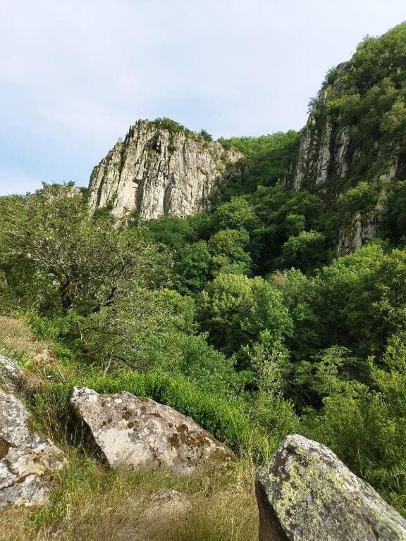 La grenouille amoureuse - View 2