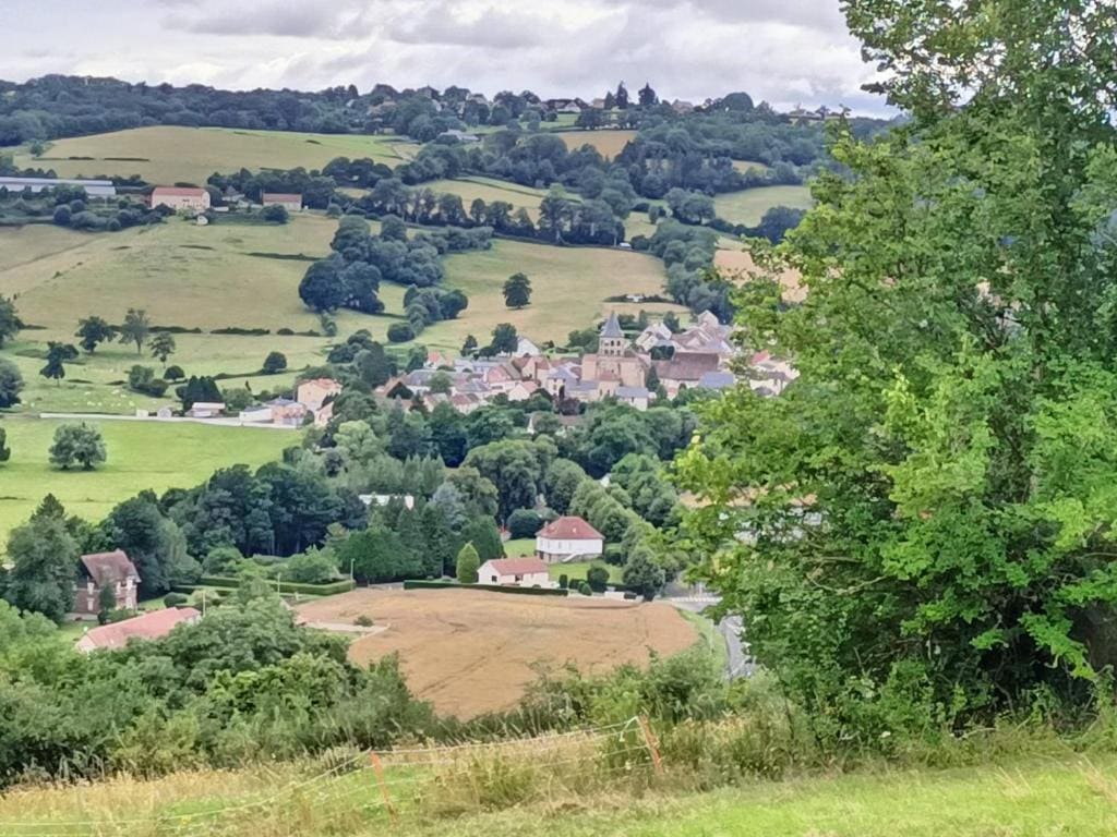 La grenouille amoureuse - View 3
