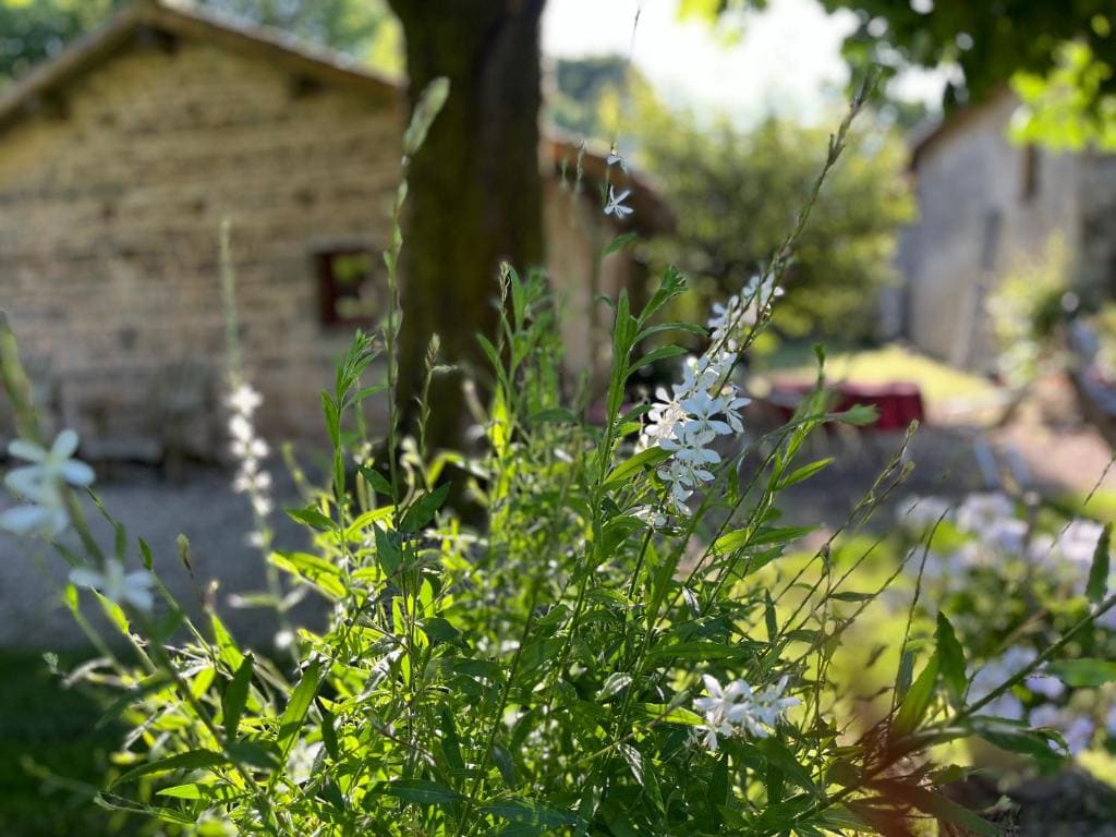 La Grosse Talle - View 6