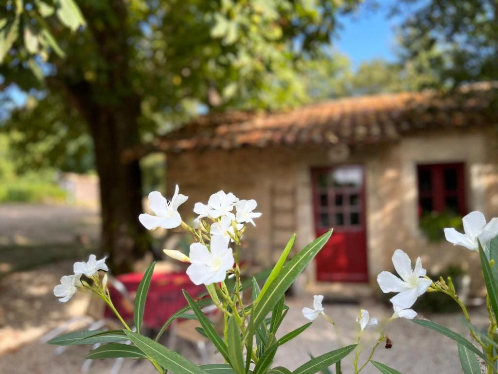 La Grosse Talle - View 7