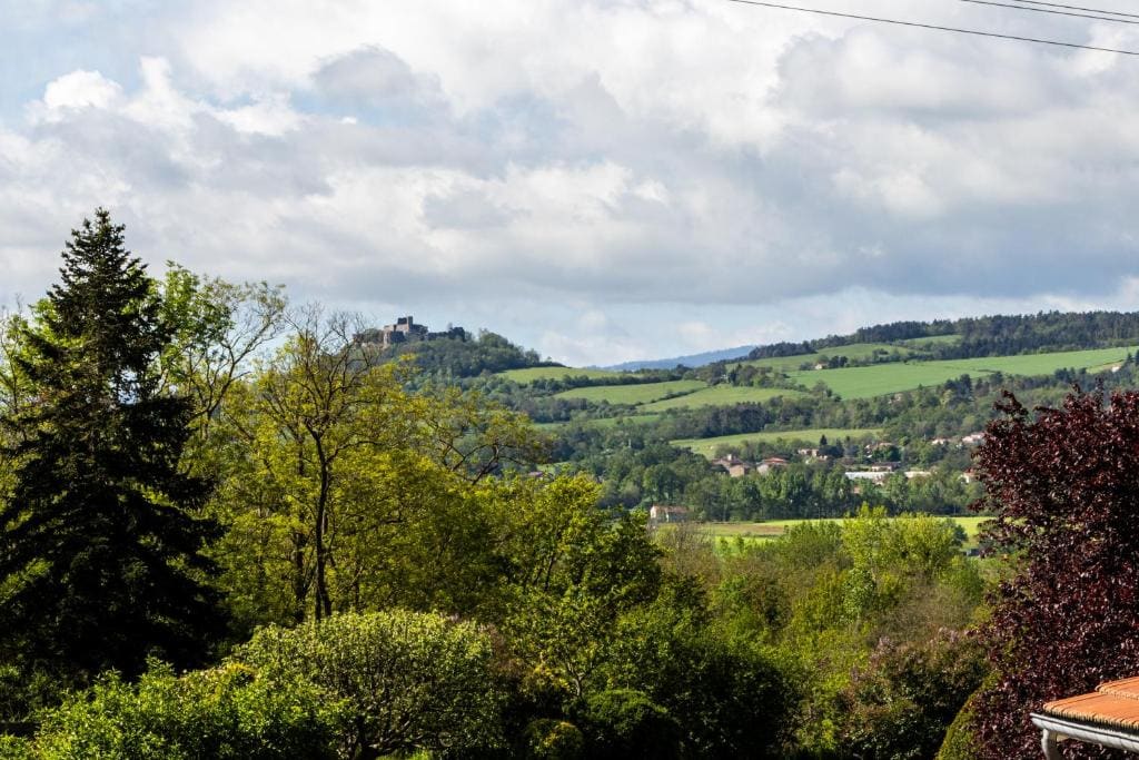 La Longère Forézienne - Vista 3
