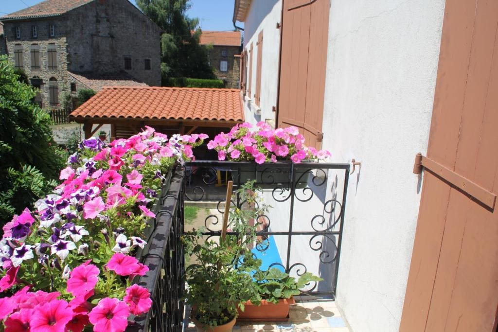 La Maison des Chats - View 4