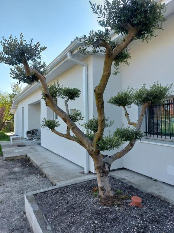 La maison du bonheur - View 7