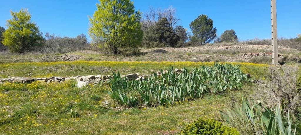 La Picholine chambre Provence - View 4
