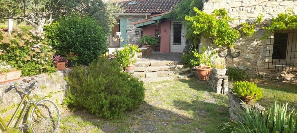 La Picholine chambre Provence - View 3