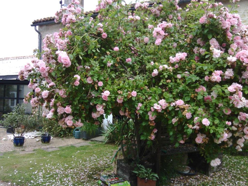 la Rosaliere - View 4