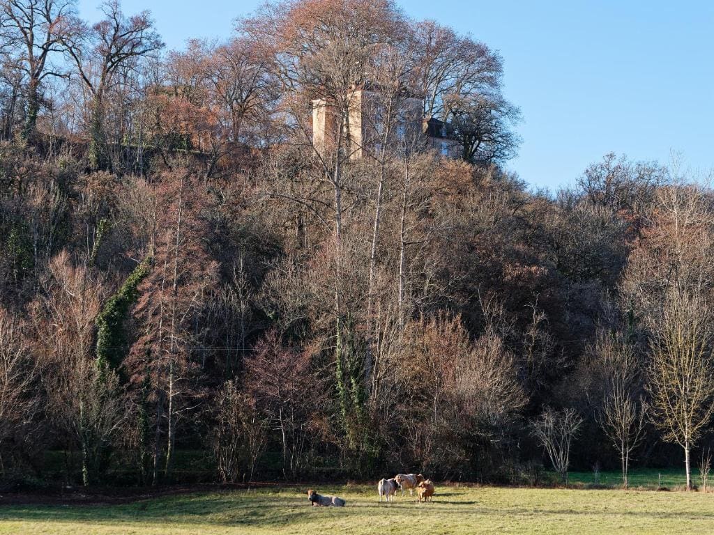 La source du Touron - Vista 4