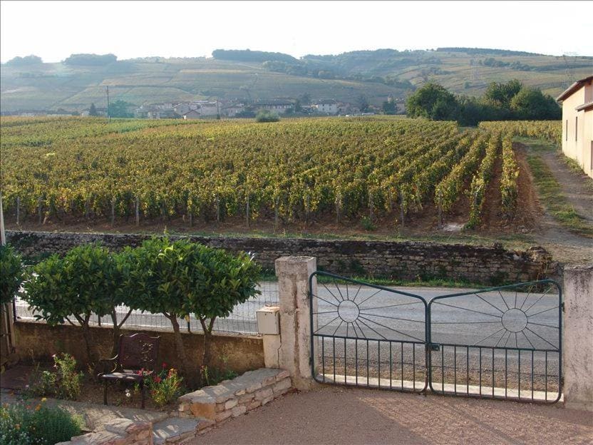 LA VIGNERAIE - SARL Champ Potard - View 3