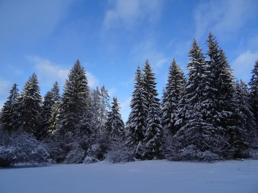 le bon accueil - View 7