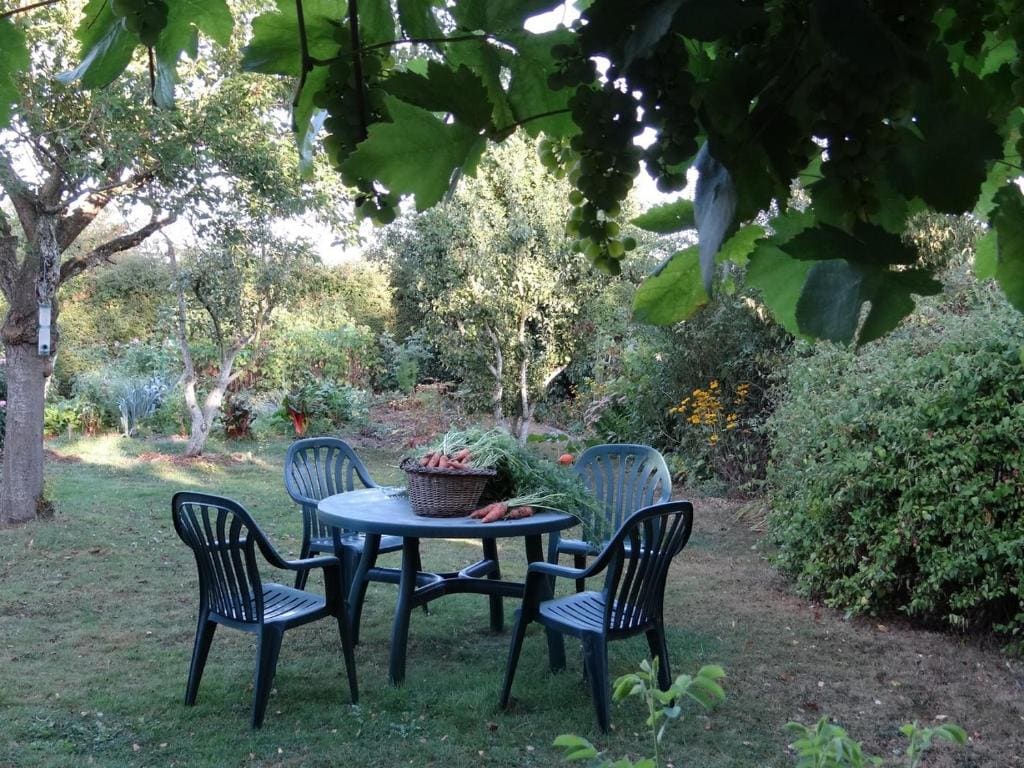 La Sauleraie - View 6