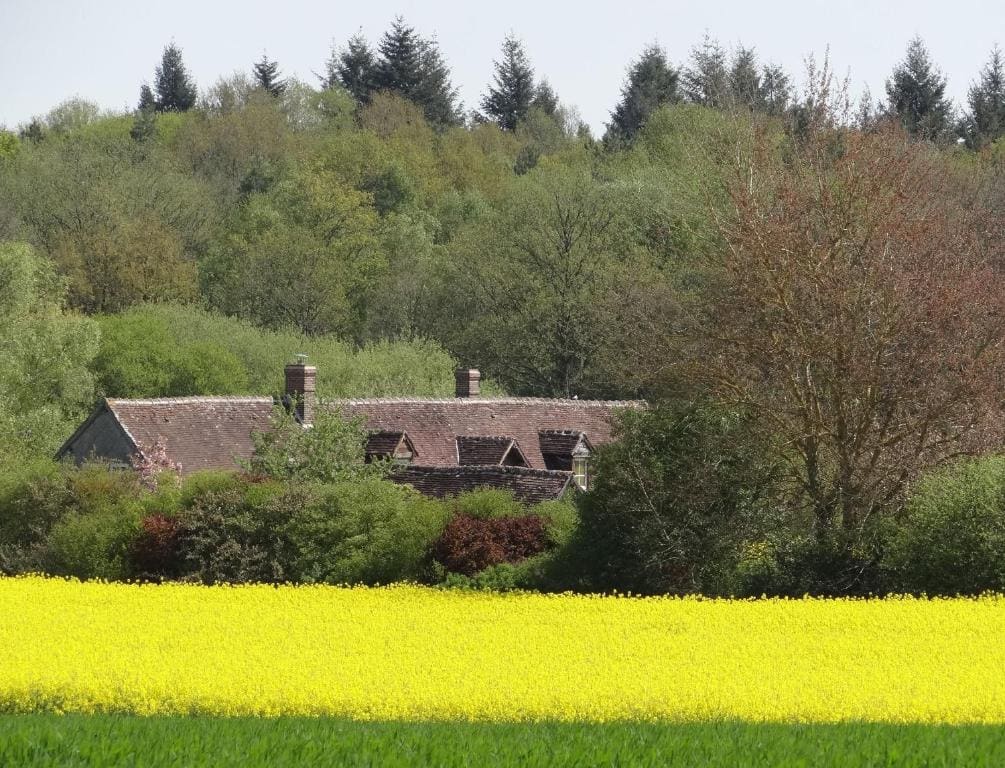 La Sauleraie - Main view