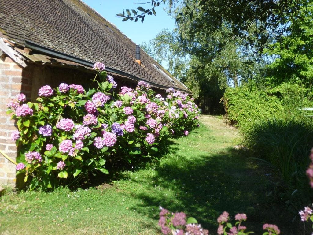 La Sauleraie - View 5