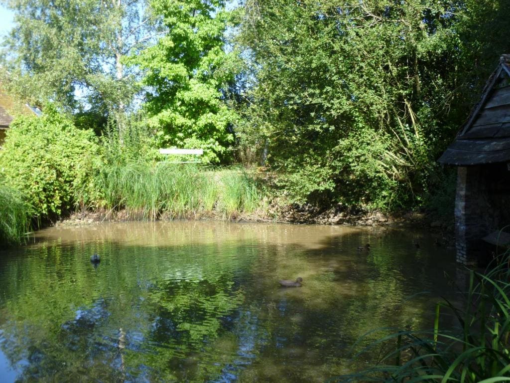 La Sauleraie - View 2