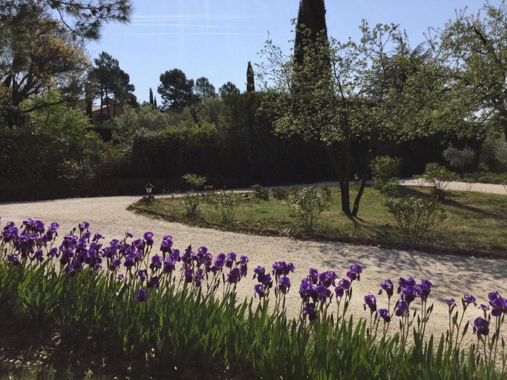 Le Clos des Cigales - View 4