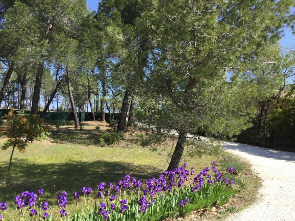 Le Clos des Cigales - View 2