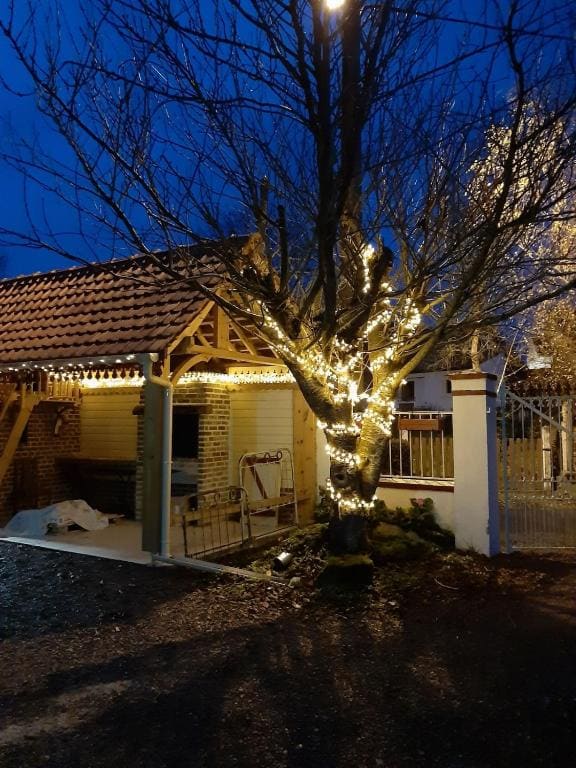 Le clos des oiseaux - View 2