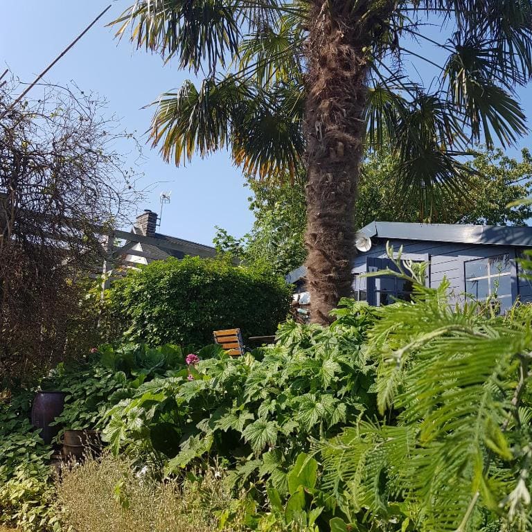LE jardin - View 2