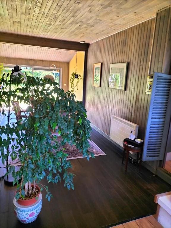 Le jardin des oiseaux - View 6